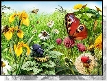 Łąka, Kwiaty, Motyl, Biedronka, Gąsienice