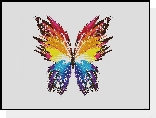 Grafika, Kolorowy, Motyl
