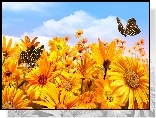 Żółte, Kwiaty, Motyle, Niebo
