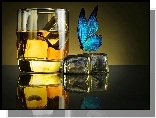 Drink, Lód, Niebieski, Motyl