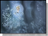 Źdźbło, Trawa, Motyl, Modraszek ikar, Bokeh