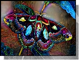 Grafika, Motyl