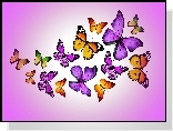 Motylki, Grafika, 2D