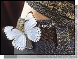 Motyl, Jeans, Pas