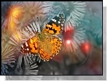 Kolorowy, Motyl, Rusałka, Osetnik