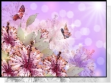 Kwiaty, Hibiskus, Motyle, Grafika 2D