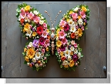Kwiatowy, Motyl, Kolorowe, Kwiaty