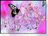Kwiaty, Motyle, Kolorowe t�o, Grafika