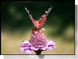Motyl, Kwiat