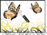 Motyl, Żyletka
