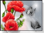 Maki, Motyle, Art