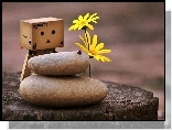 Pień, Danbo, Kwiatki, Kamienie, Biedronka, Rozmycie