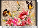 Różowy, Hibiskus, Motyle, Art