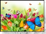 Kolorowe, Tulipany, Motyle