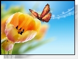 Żółte, Tulipany, Motyl