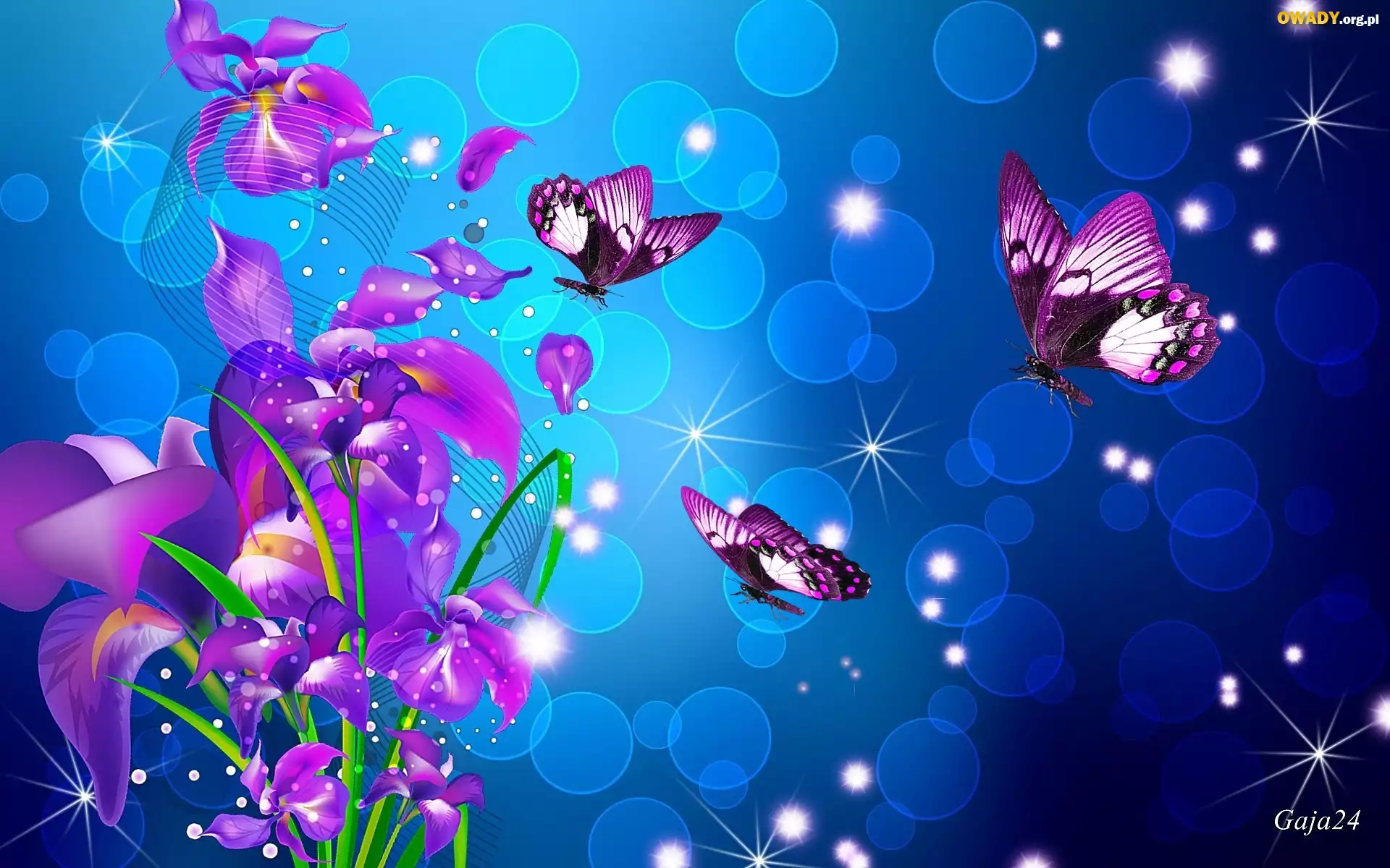 Fioletowe, Kwiaty, Motyle, Art