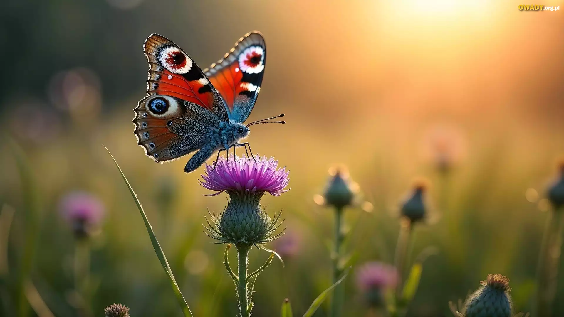 Motyl, Kwiat, Ostrożeń, Grafika AI