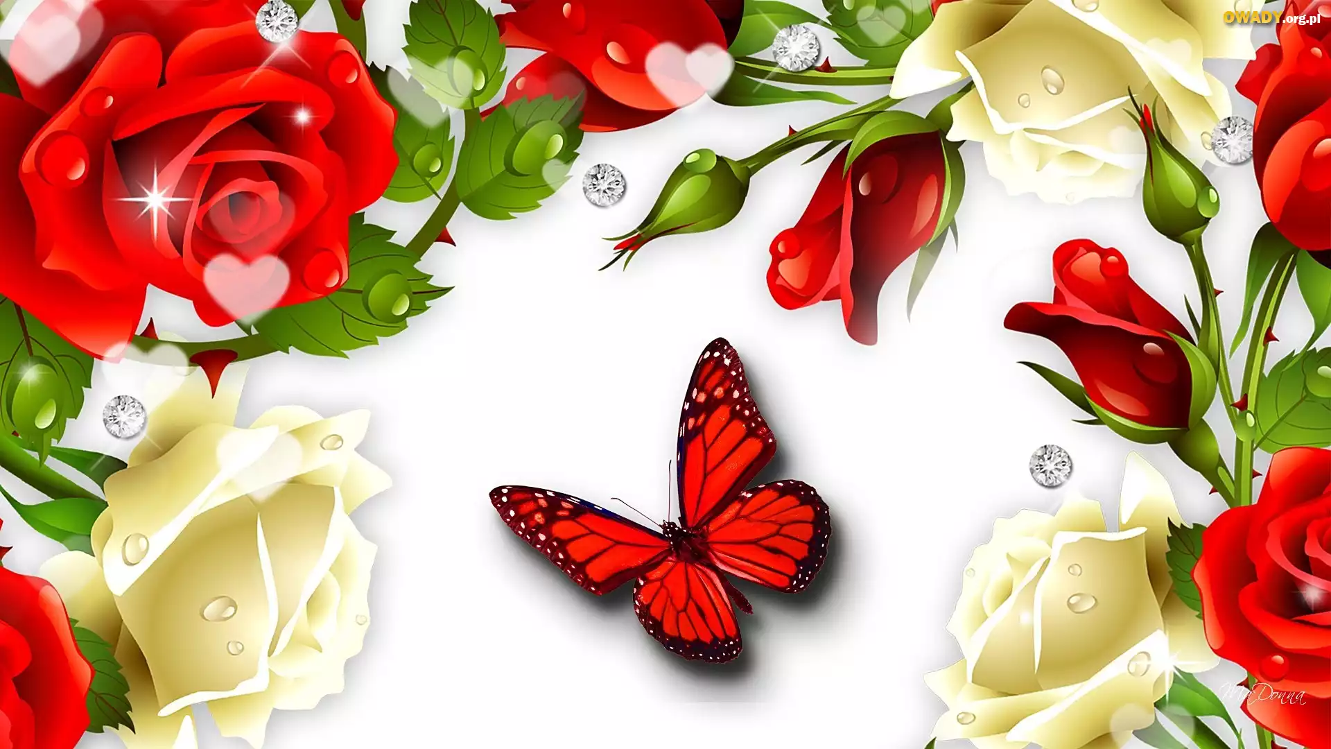 Kwiaty, Róże, Motyl, Art