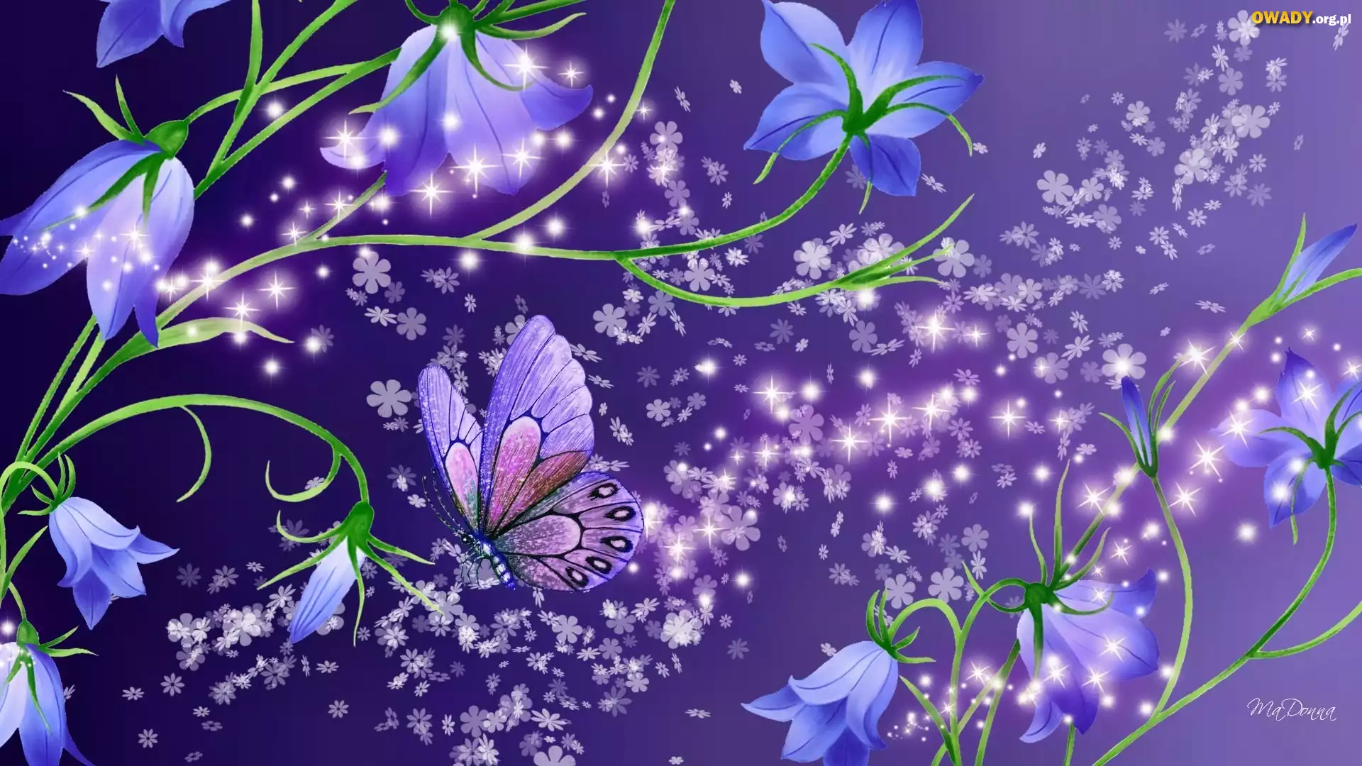 Niebieskie, Kwiaty, Motyl, Art